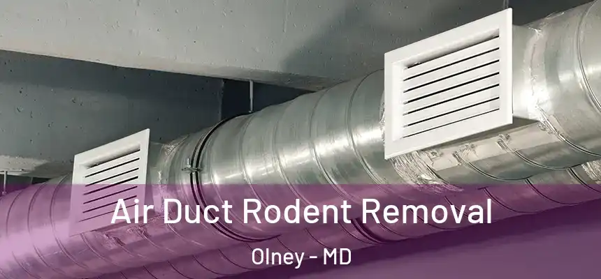  Air Duct Rodent Removal Olney - MD