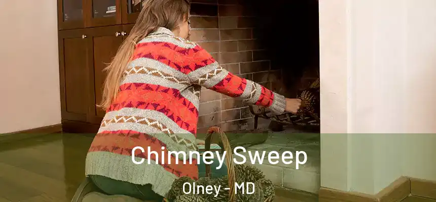  Chimney Sweep Olney - MD