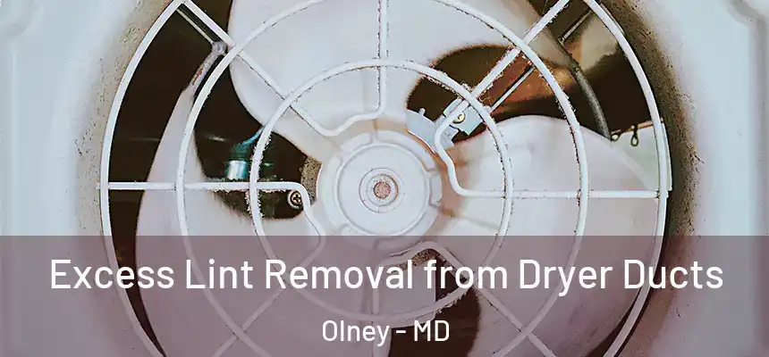 Excess Lint Removal from Dryer Ducts Olney - MD