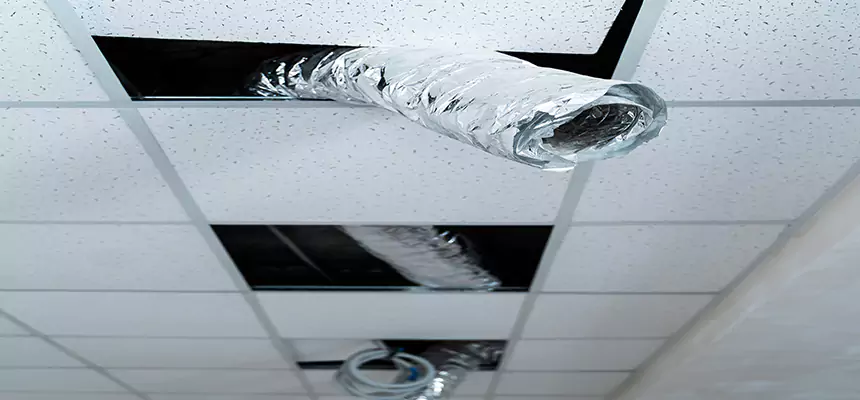 Our Air Duct Pet Hair Removal Services in Olney, MD