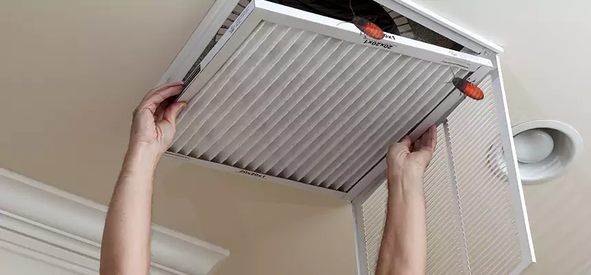 Our Insect Removal from Air Ducts Services in Olney, MD