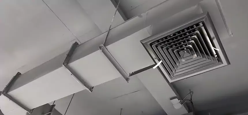 Our Pest Removal From Ducts Services in Olney, MD