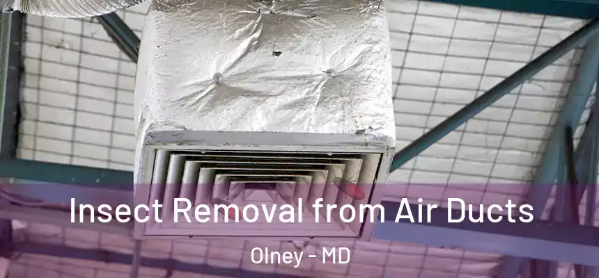 Insect Removal from Air Ducts Olney - MD