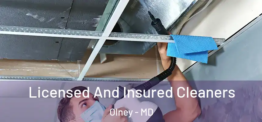  Licensed And Insured Cleaners Olney - MD