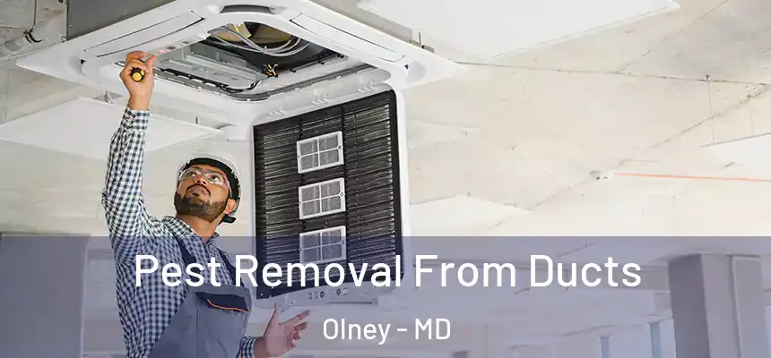 Pest Removal From Ducts Olney - MD