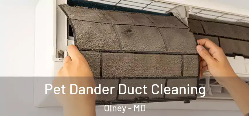 Pet Dander Duct Cleaning Olney - MD