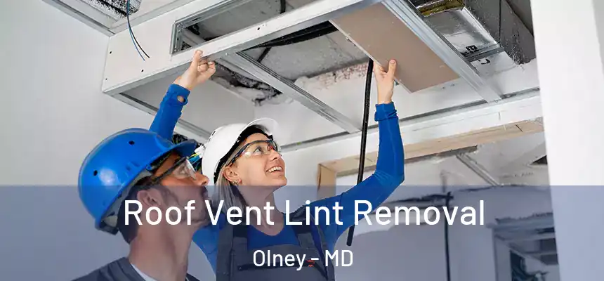  Roof Vent Lint Removal Olney - MD