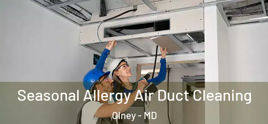  Seasonal Allergy Air Duct Cleaning Olney - MD