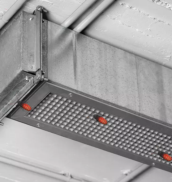 About Air Duct Cockroach Removal in Olney, MD