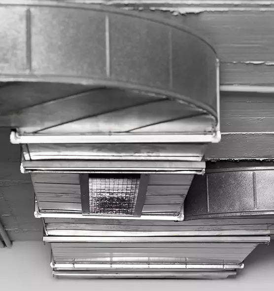 Professional Air Duct Pest Removal in Olney, MD