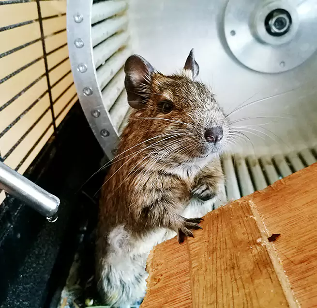 Why Homeowners & Businesses Trust Us Olney, MD?