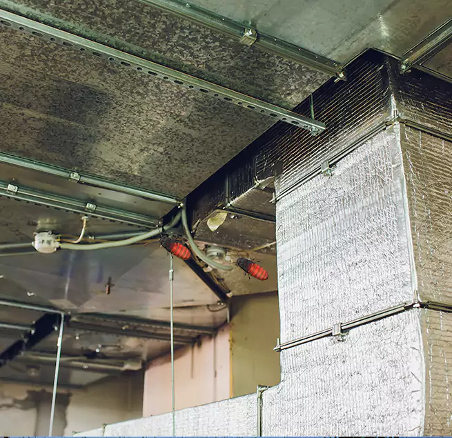 Why Homeowners & Businesses Trust Us Olney, MD?