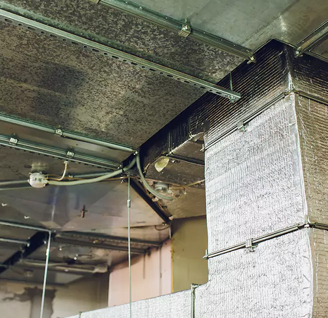 Why Homeowners & Businesses Trust Us in Olney, MD?